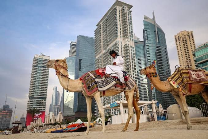 Dubái y Abu Dhabi, Dubái: fotografía 7 de 7